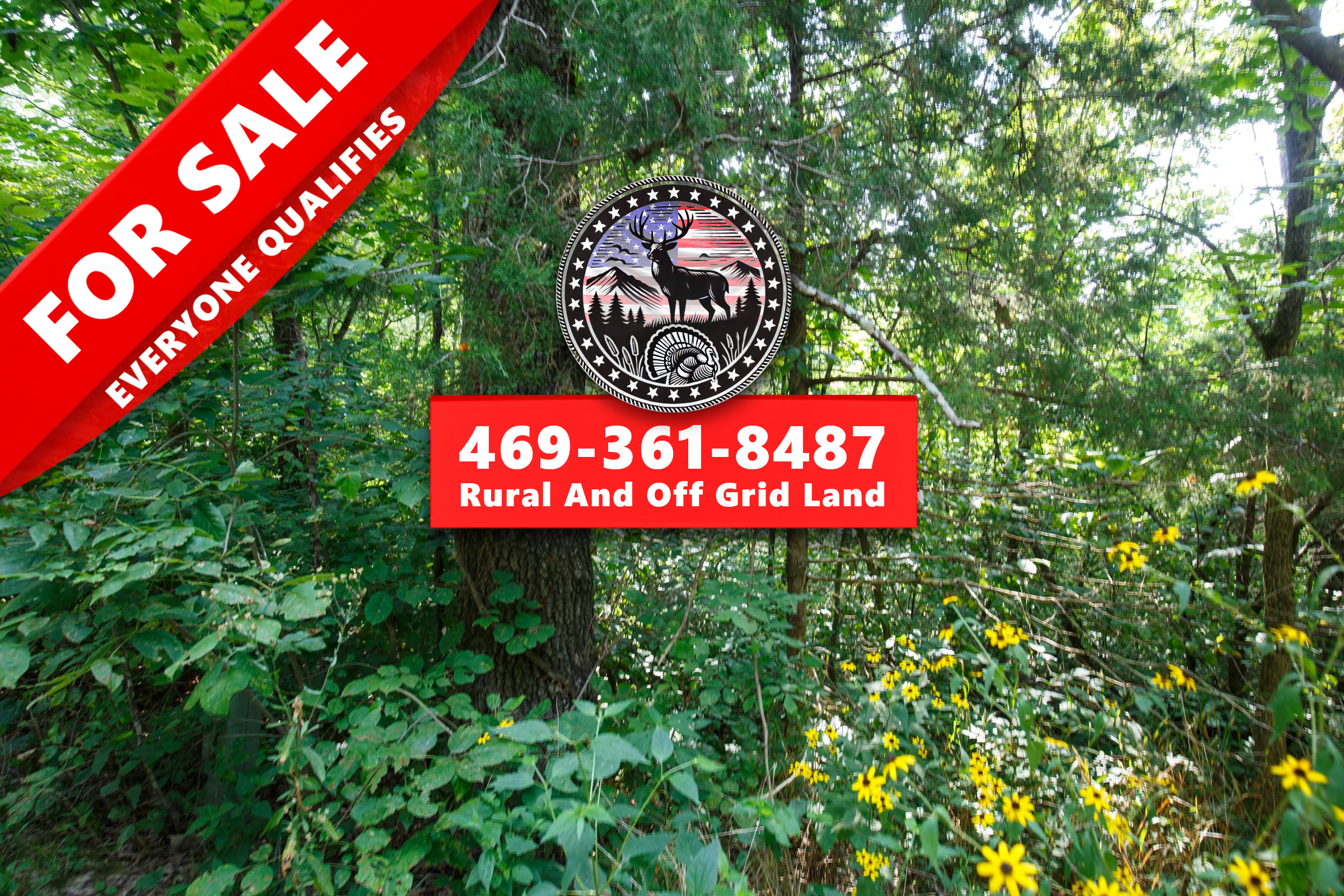 SPL-P2-T11 tract image