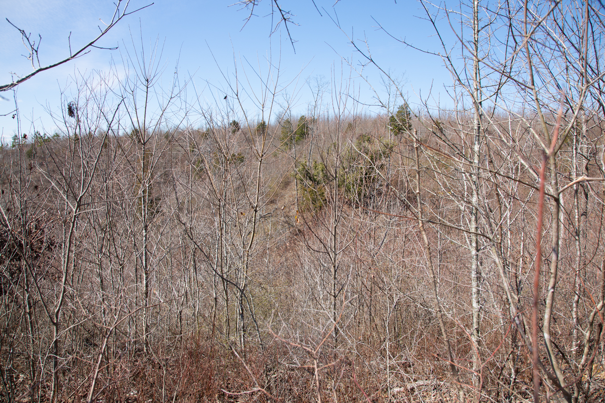 Tract 1 at Southwind Ranch in Perry County, Tennessee
