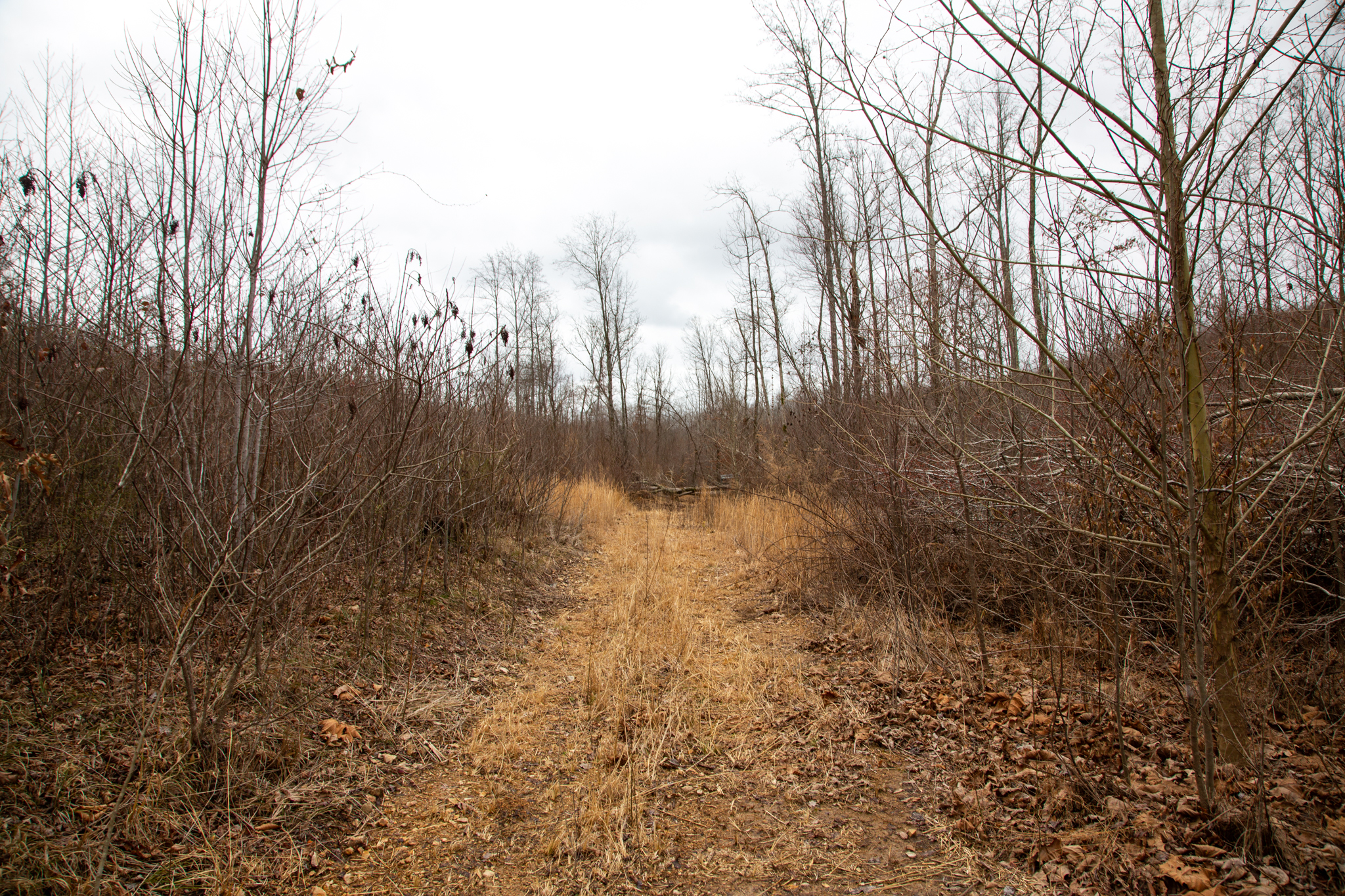 Tract 10 at Southwind Ranch in Perry County, Tennessee