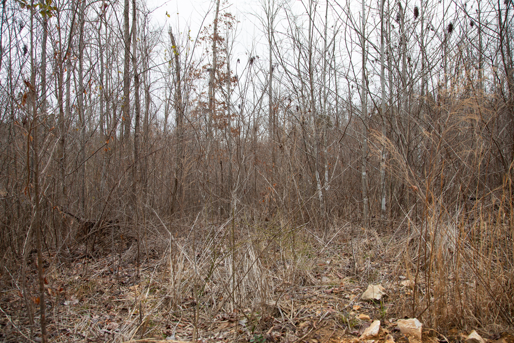 Tract 14 at Southwind Ranch in Perry County, Tennessee