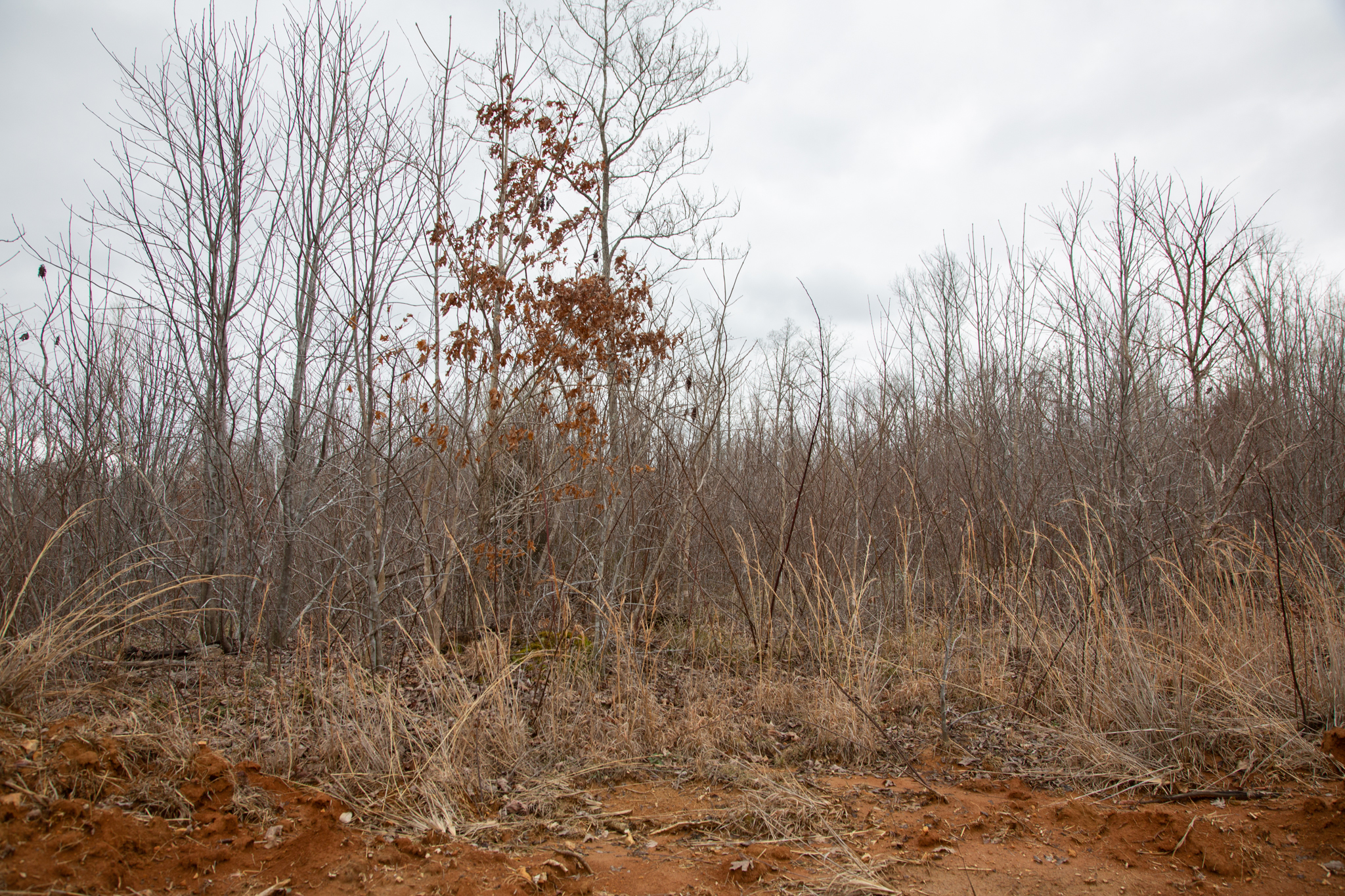 Tract 15 at Southwind Ranch in Perry County, Tennessee