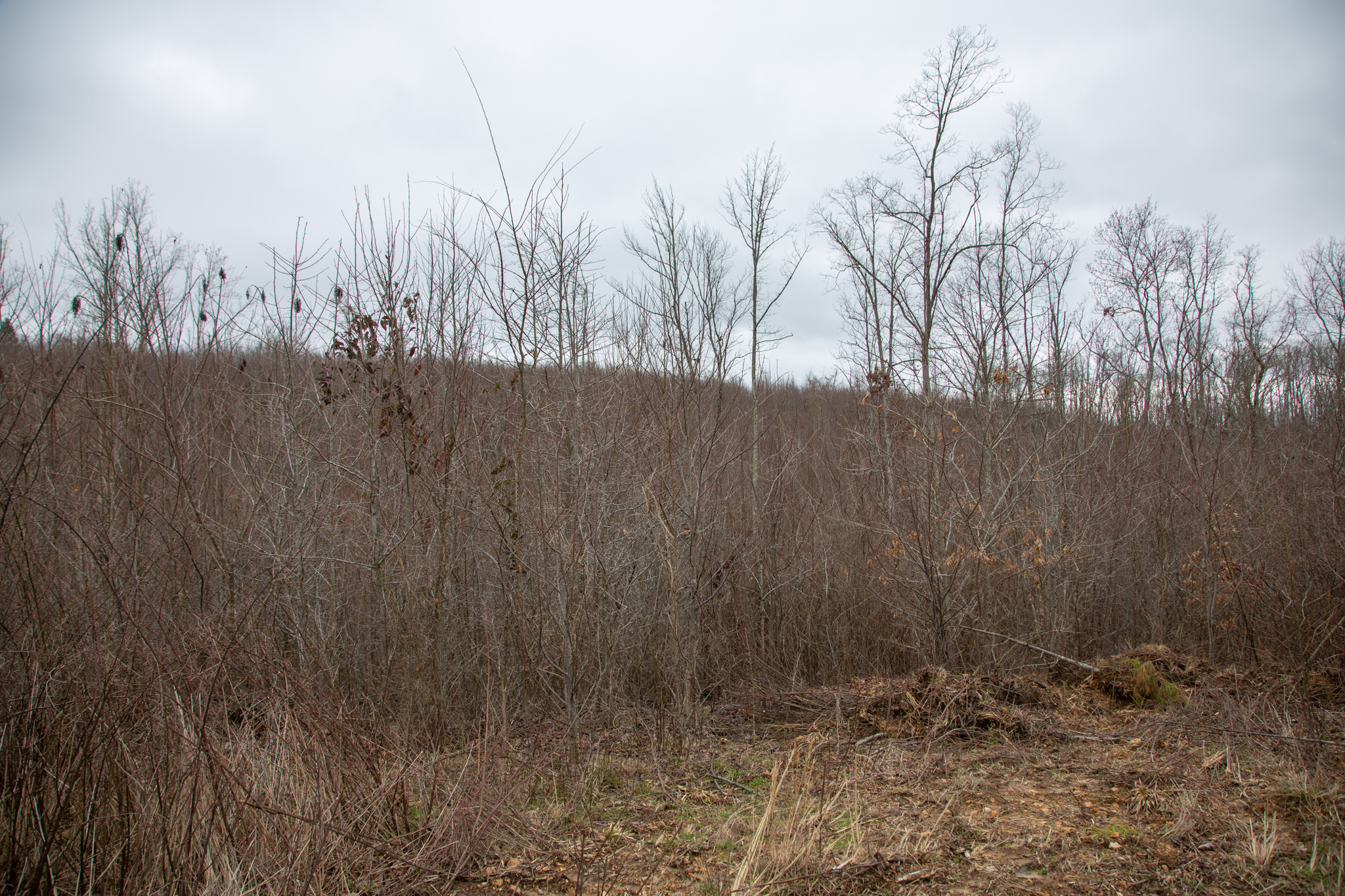 Tract 23 at Southwind Ranch in Perry County, Tennessee