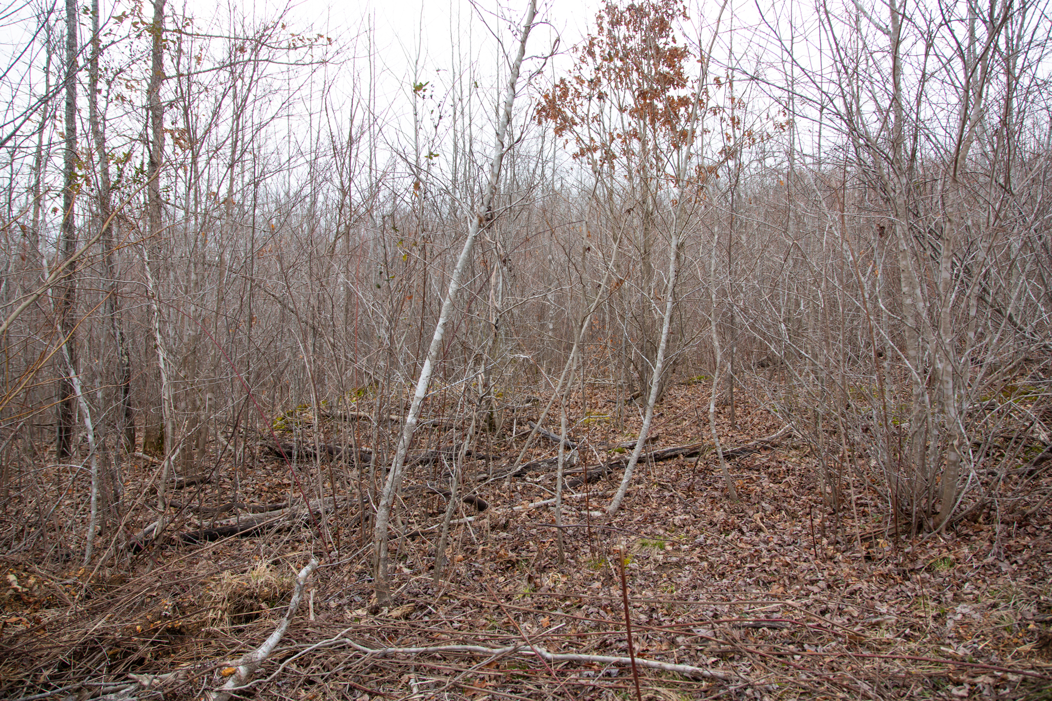 Tract 27 at Southwind Ranch in Perry County, Tennessee